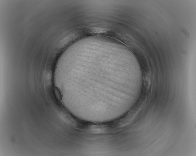 X0000113590556200910091502