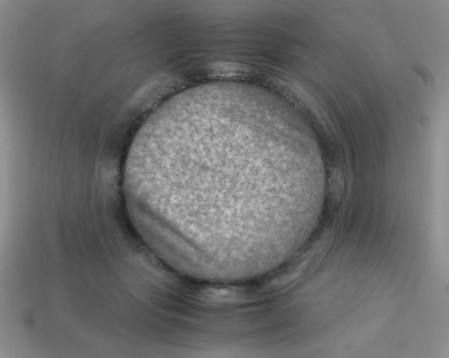 X0000113590557200910091502