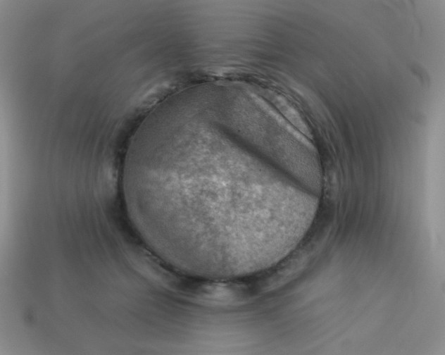 X0000113590558200910091502