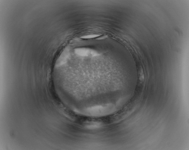 X0000113590559200910091502