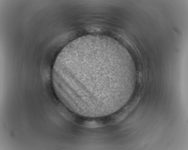 X0000113590561200910091502