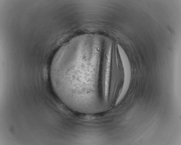 X0000113590562200910091502