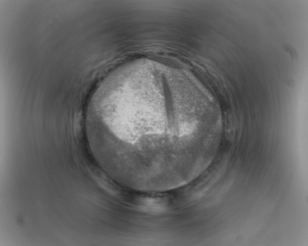 X0000113590563200910091502