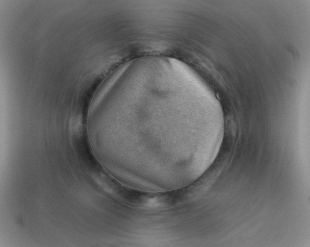 X0000113590564200910091502