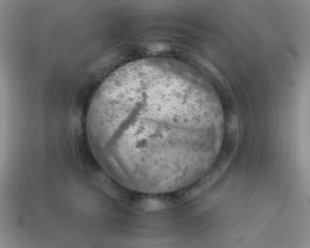 X0000113590565200910091502