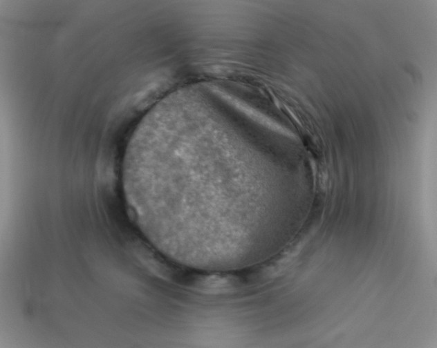 X0000113590566200910091502