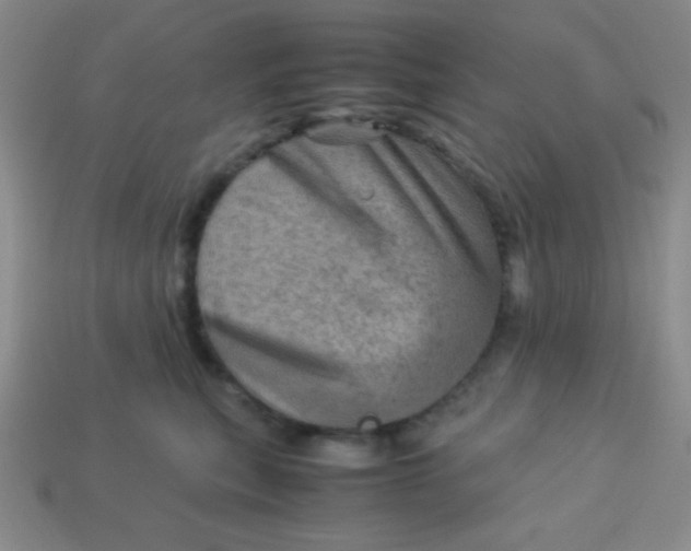 X0000113590567200910091502