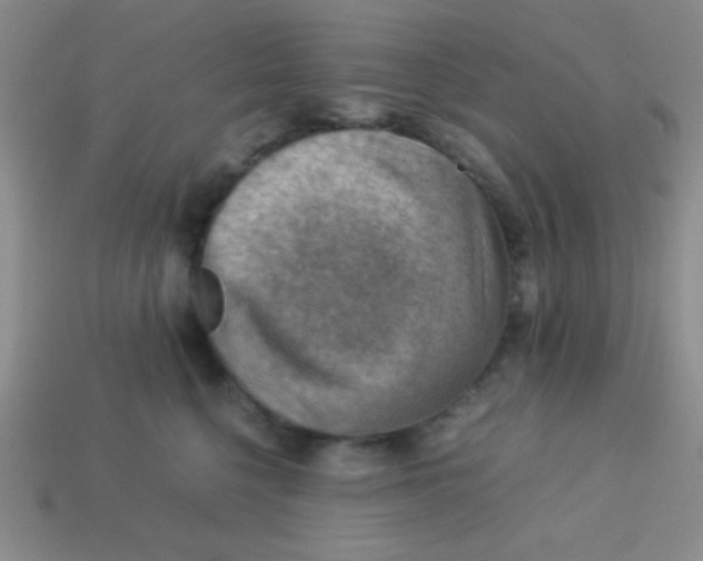 X0000113590568200910091502