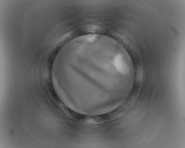 X0000113590569200910091502