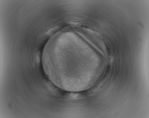 X0000113590570200910091502