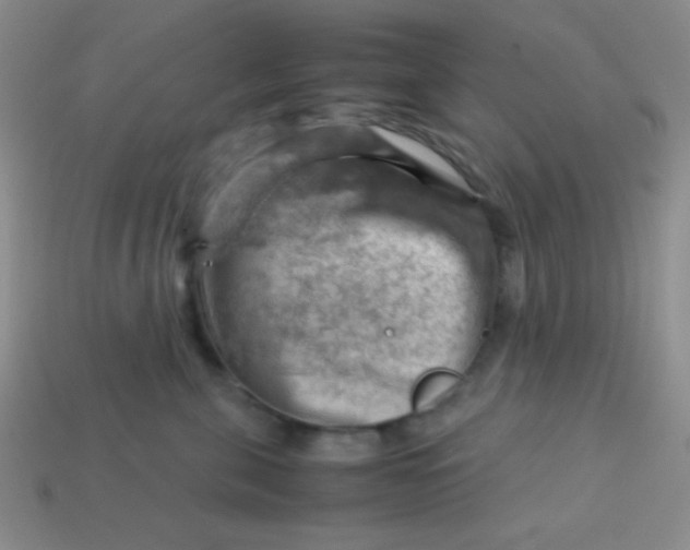 X0000113590571200910091502