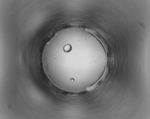 X0000113590572200910091502