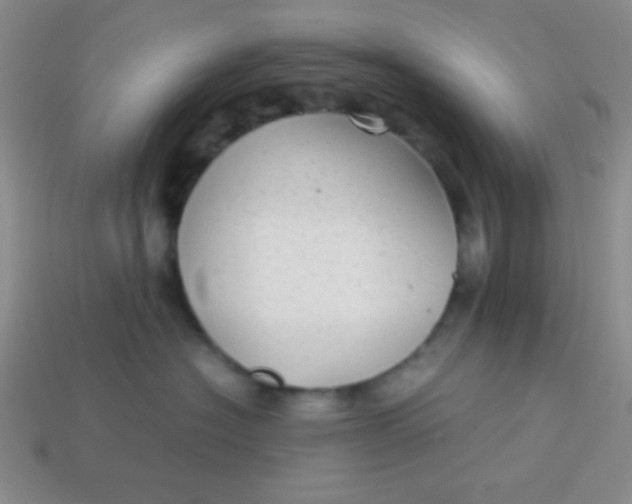 X0000113590574200910091502