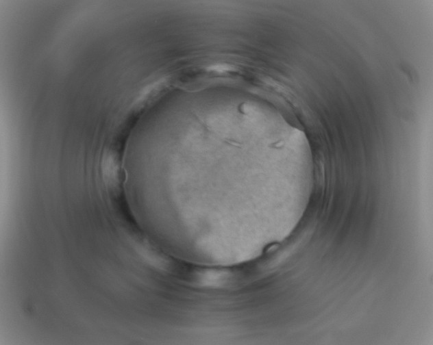 X0000113590575200910091502