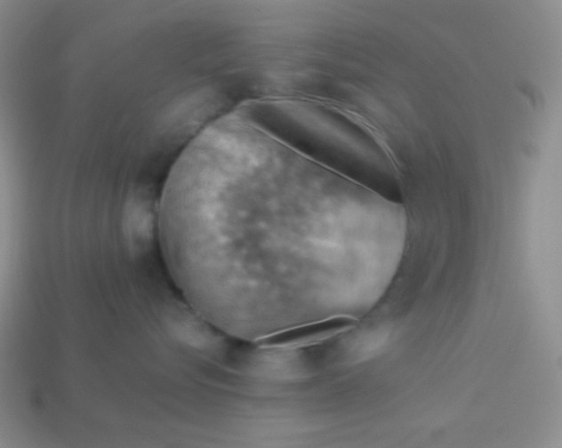 X0000113590576200910091502