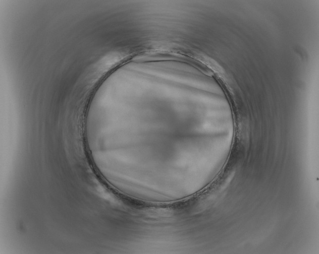 X0000113590577200910091501