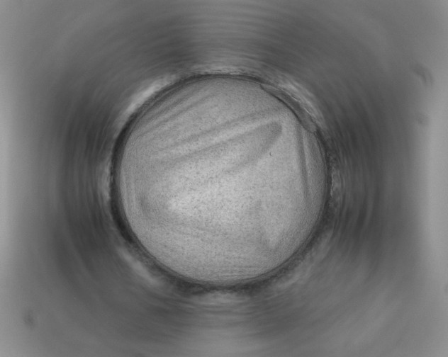 X0000113590578200910091501