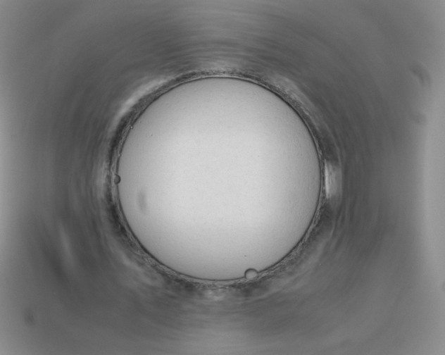 X0000113590579200910091501