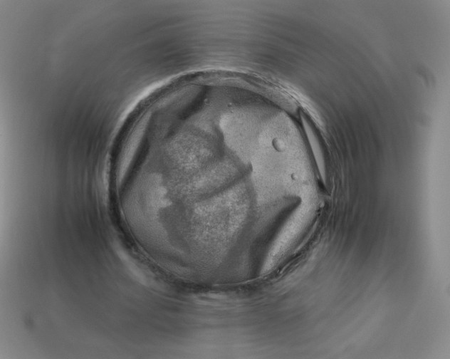 X0000113590580200910091501