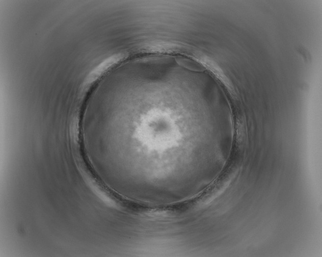 X0000113590581200910091501