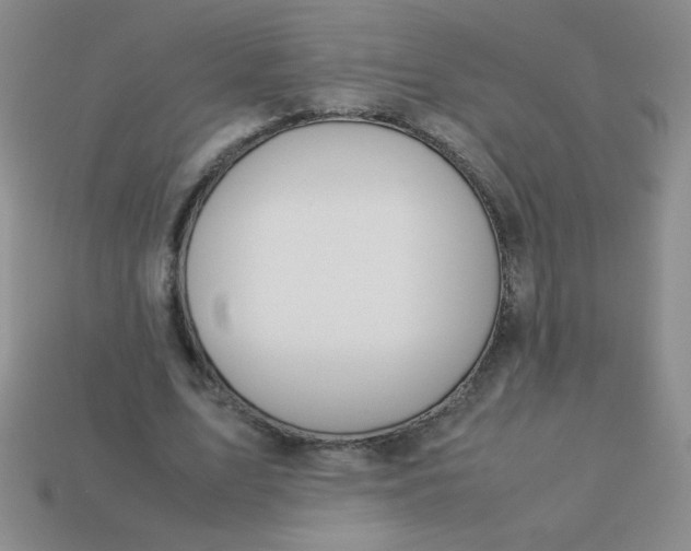 X0000113590583200910091501