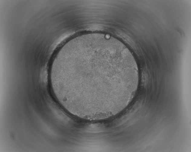 X0000113590584200910091501