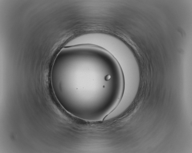 X0000113590585200910091501