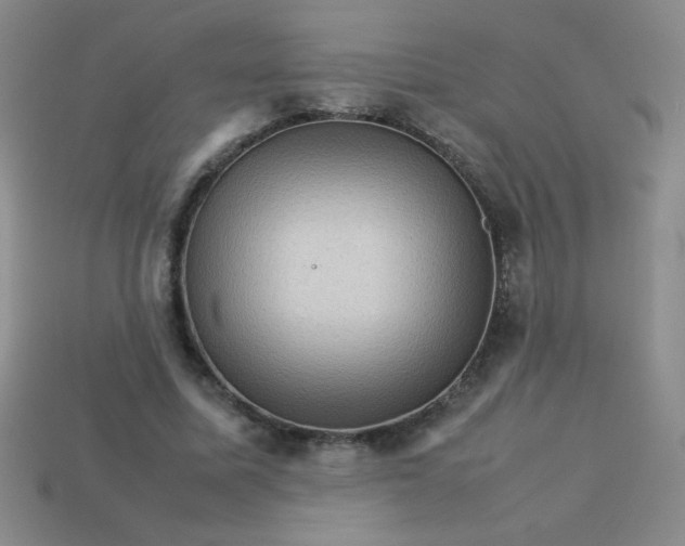 X0000113590587200910091501