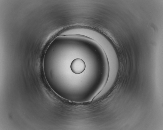 X0000113590588200910091501