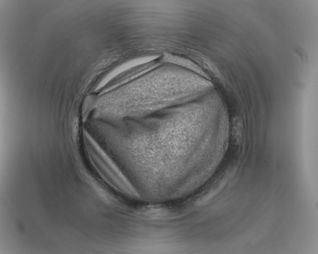 X0000113590589200910091501