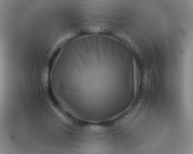 X0000113590590200910091501