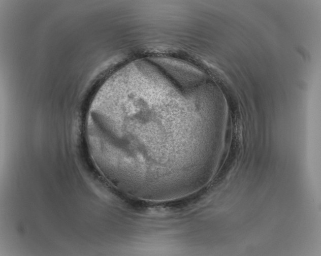 X0000113590591200910091501