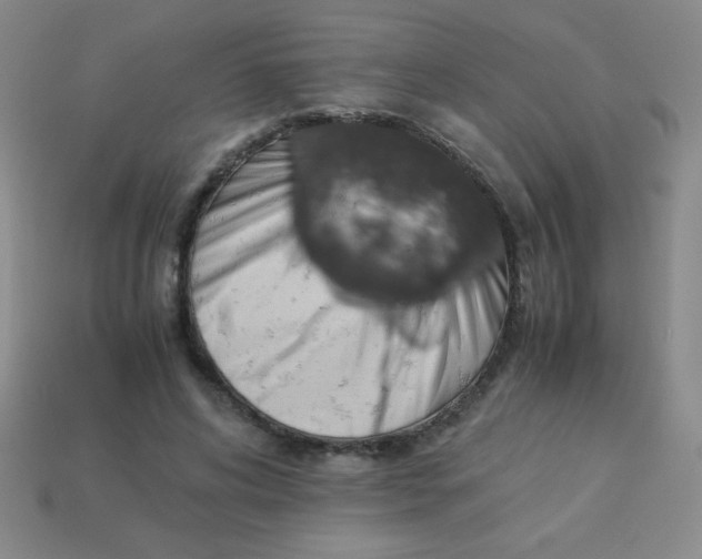 X0000113590592200910091501