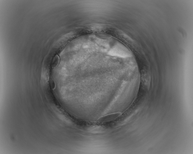 X0000113590593200910091501