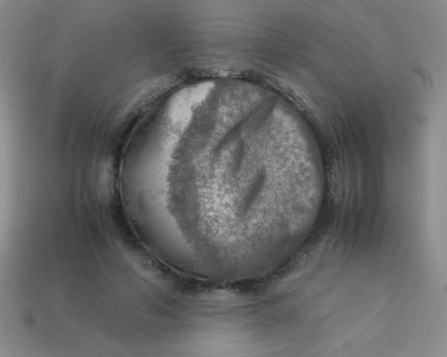 X0000113590594200910091501