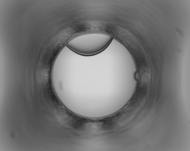 X0000113590595200910091501