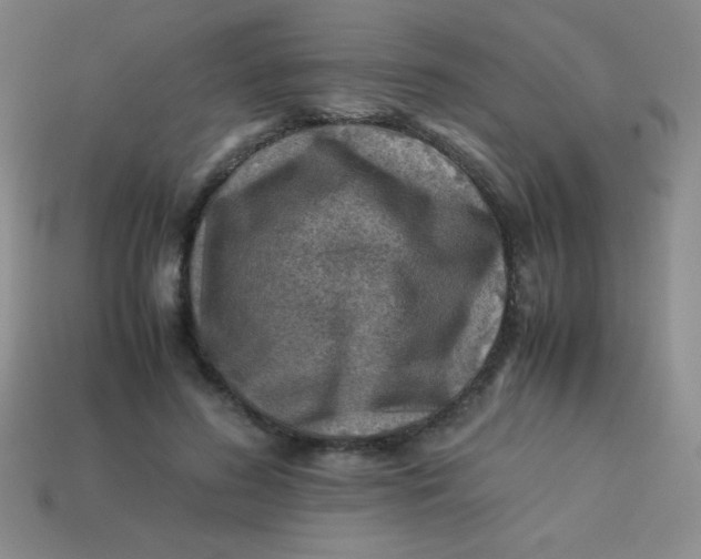 X0000113590596200910091501