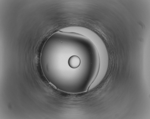 X0000113590597200910091501