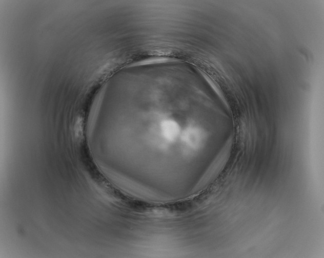 X0000113590598200910091501