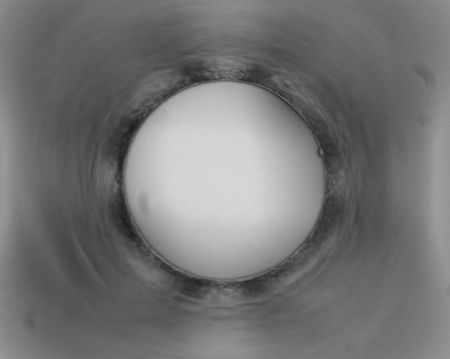 X0000113590599200910091501