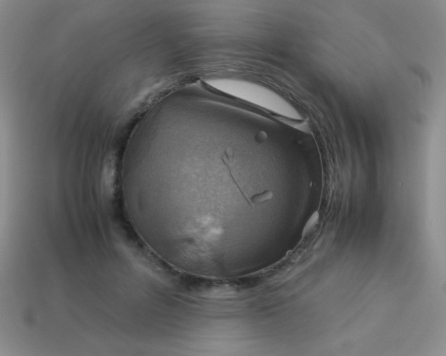 X0000113590600200910091501