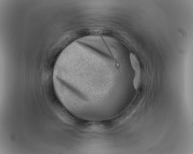 X0000113590601200910091501