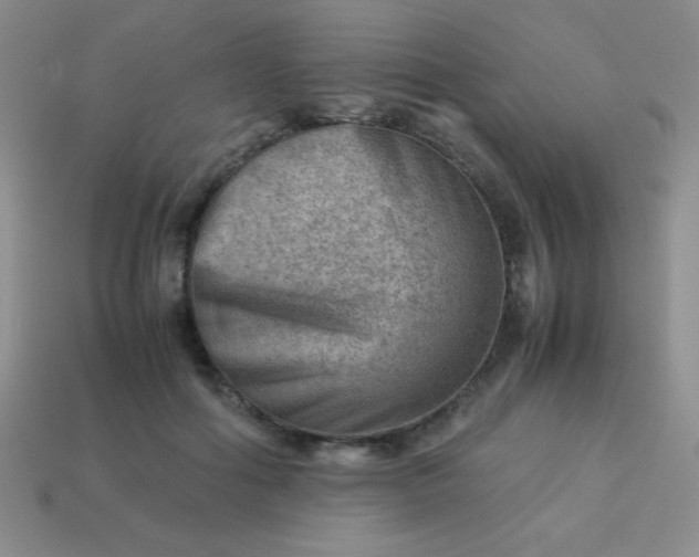 X0000113590602200910091501