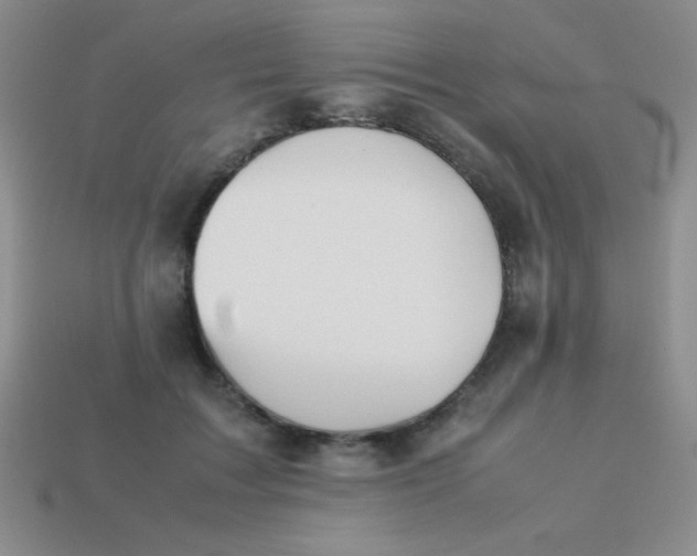 X0000113590603200910091501