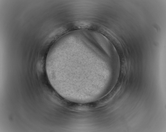 X0000113590604200910091501