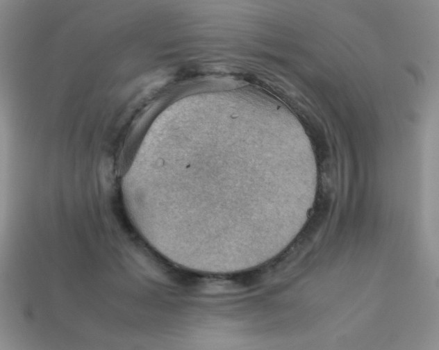 X0000113590605200910091501