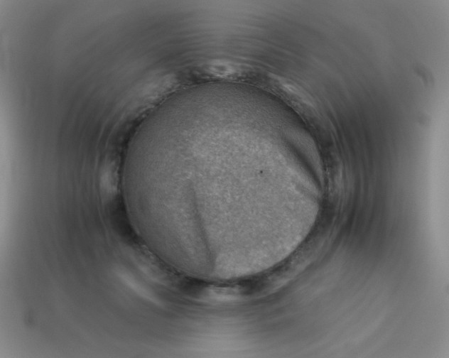 X0000113590606200910091501