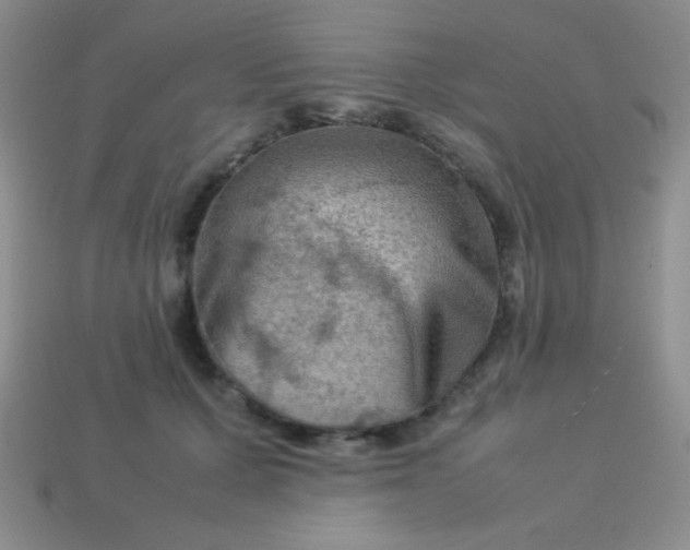 X0000113590607200910091501