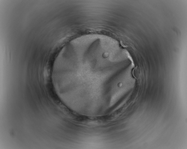 X0000113590608200910091501