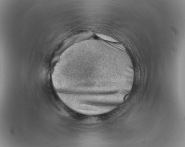 X0000113590609200910091501